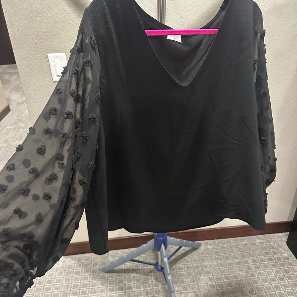 Pink Lily Black Sheer Long Sleeve Blouse